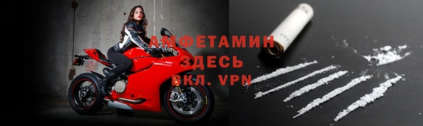 хмурый Алзамай