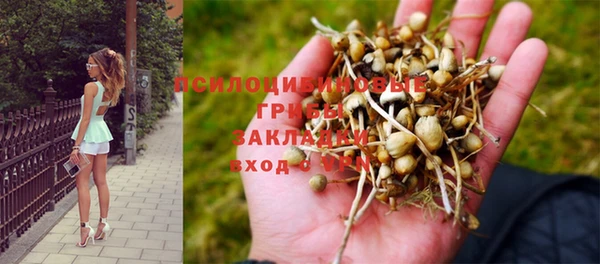 спиды Алексеевка