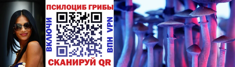Галлюциногенные грибы мицелий  где найти наркотики  Жиздра 